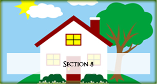 Section 8